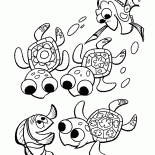 Tortugas Subacuáticas