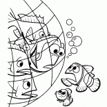Dori en línea