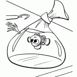 Nemo en el paquete