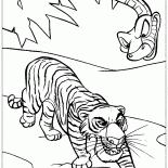 Shere Khan y Kaa