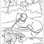 Batalla de Shere Khan y Baloo