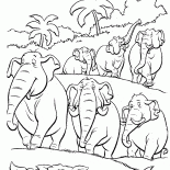 Un rebaño de elefantes