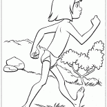 Mowgli viajar con seguridad