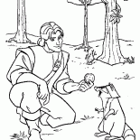 Galletas para mapache