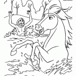 Caballo de baño