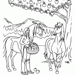 Americana con manzanas Nativo