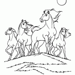 Tribu de la pradera