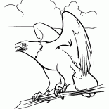 Águila y Espíritu