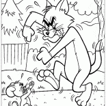 Sparring Tom y Jerry