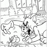 Tom atrapa Jerry