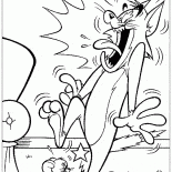 Tom y Jerry