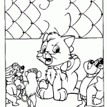 Gatito en problemas
