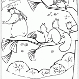 Ardillas y oso