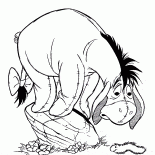 Burro y la oruga