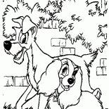 Dama y el Vagabundo dar un paseo