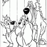 Señora, vagabundo y Boris