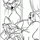 Los gatos en la casa Señora