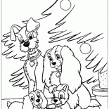 Los cachorros y perros