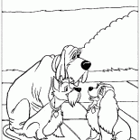 Señora y los amigos del vagabundo