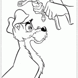 Collar para el vagabundo