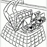 Gatos en la cesta