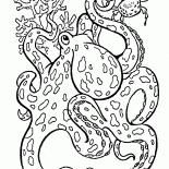 Gran Pulpo