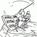 Conductor Sebastián