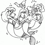 Amigos de Ariel