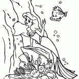La Sirenita y la platija
