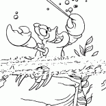 Sebastián como conductor