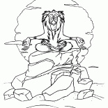 Rafiki al atardecer