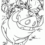 Timon y Pumba