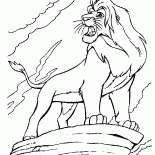 Simba en la roca