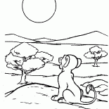 Simba y el sol