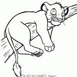 Simba en el árbol