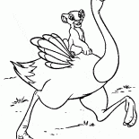 Simba en un avestruz