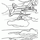 El vuelo del pato de mar