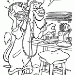 Wildcat escuchar la radio