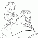Alice juega con un gatito