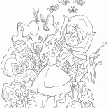 Hada de Rose