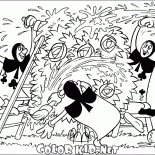 Vuelva a pintar las rosas