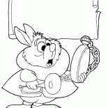 conejo blanco