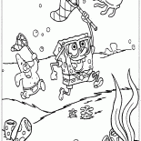 Amigos capturan medusas