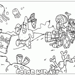 Territorio medusas