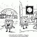 Bob Esponja y Ardilla