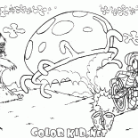 Medusa gigante