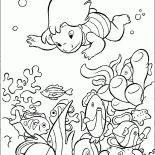 Lilo con pescado