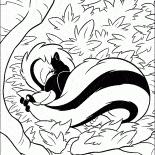 Skunk de vacaciones