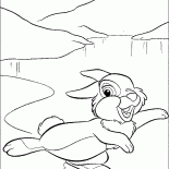 Hare en un hielo