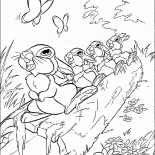 Las liebres se tamborileando